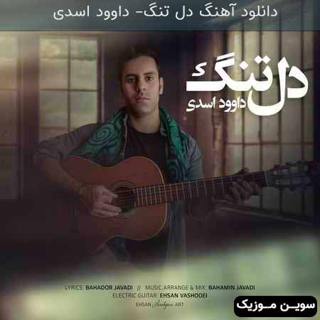 دانلود اهنگ دل تنگ داوود اسدی